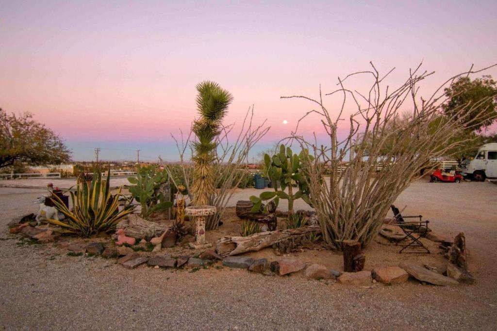 Joshua Tree Ranch House Motel - Downtown - Room #6 Экстерьер фото